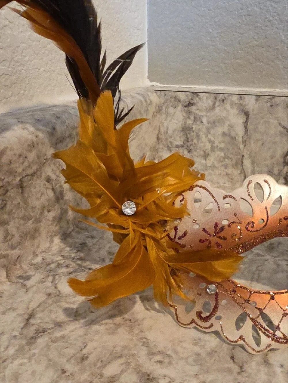 Feathered Masquerade Mask